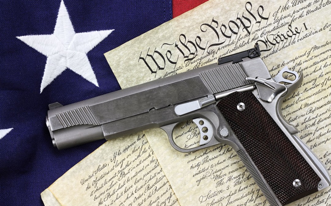 Gun Confiscation Via “Red Flag Law” Resolution